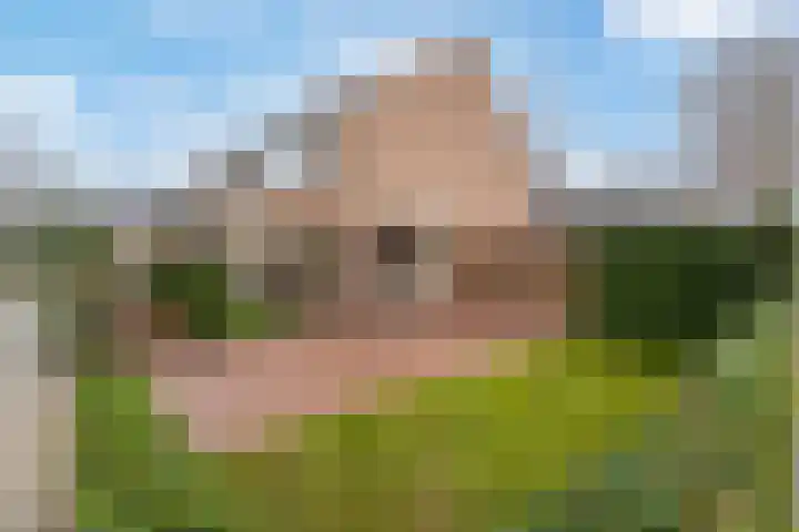 't Melkhuis 9 Veenendaal thumbnail 39