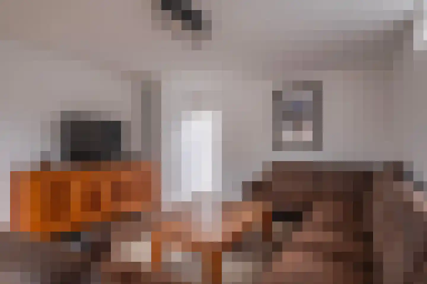 't Melkpad 16 Lathum thumbnail 16