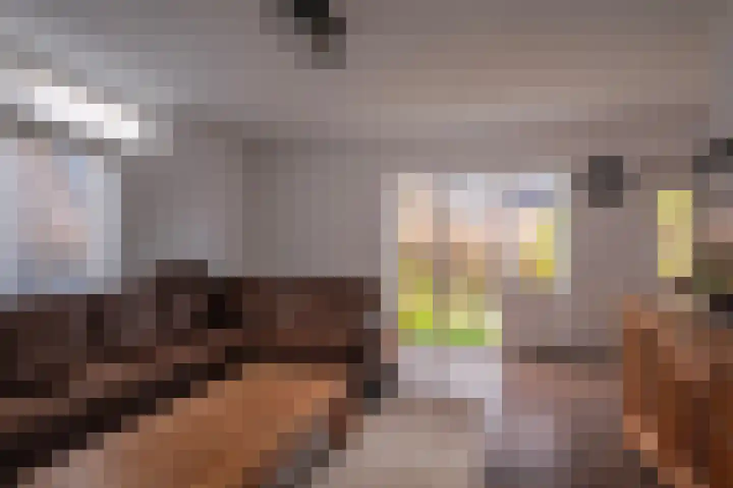 't Melkpad 16 Lathum thumbnail 17