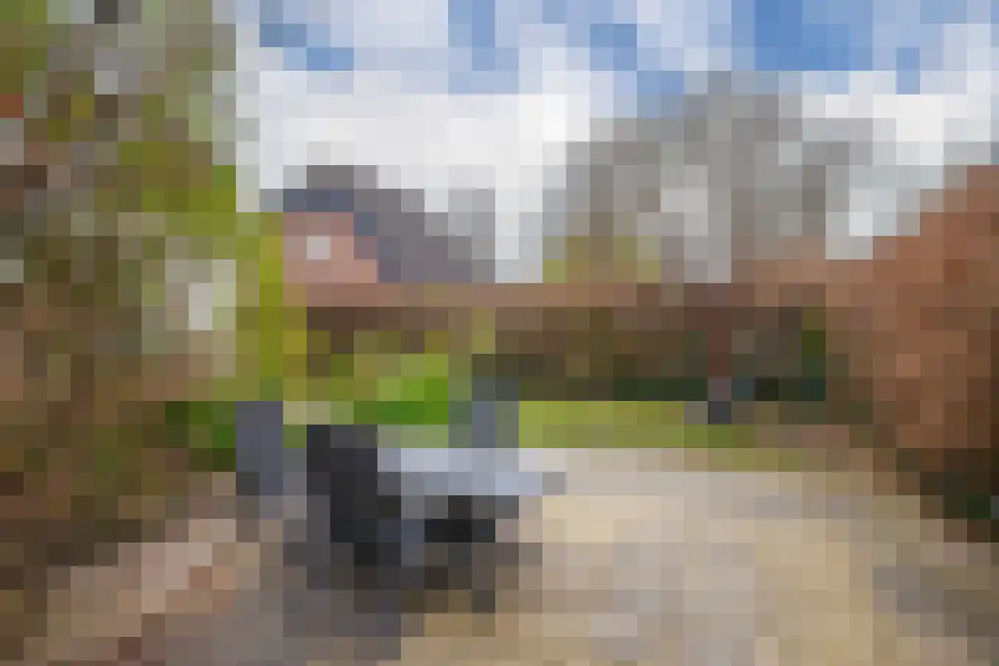 't Melkpad 16 Lathum thumbnail 22