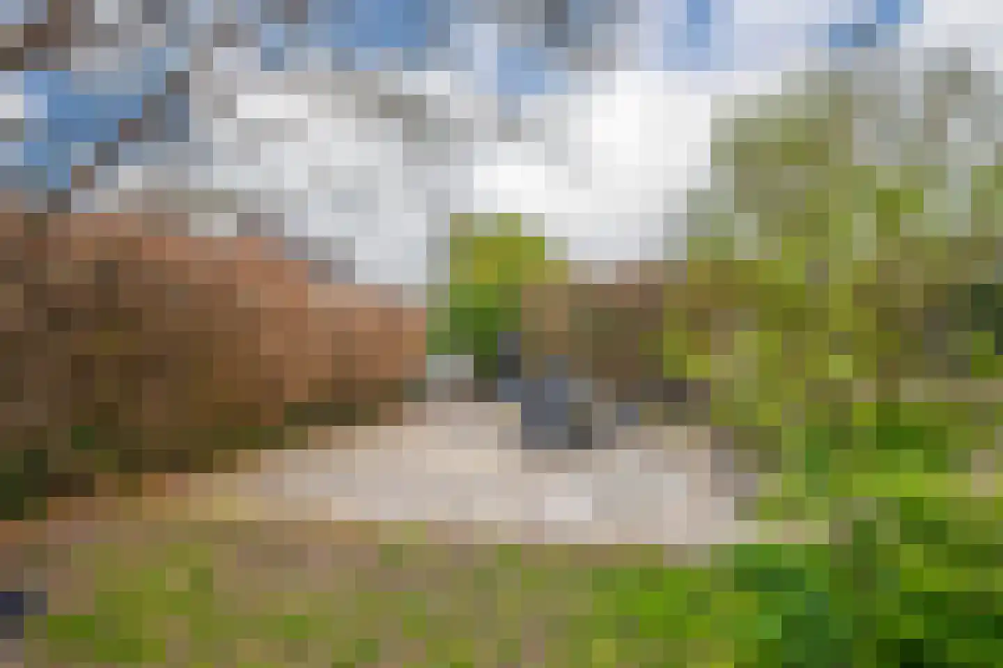 't Melkpad 16 Lathum thumbnail 23