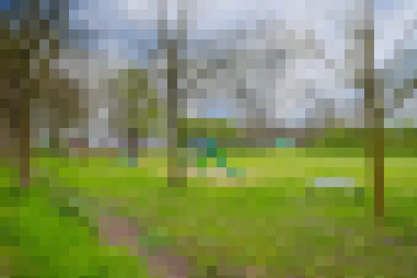 't Melkpad 16 Lathum thumbnail 39