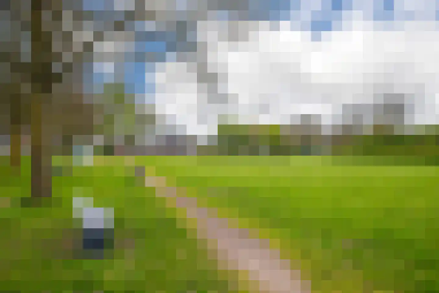 't Melkpad 16 Lathum thumbnail 40