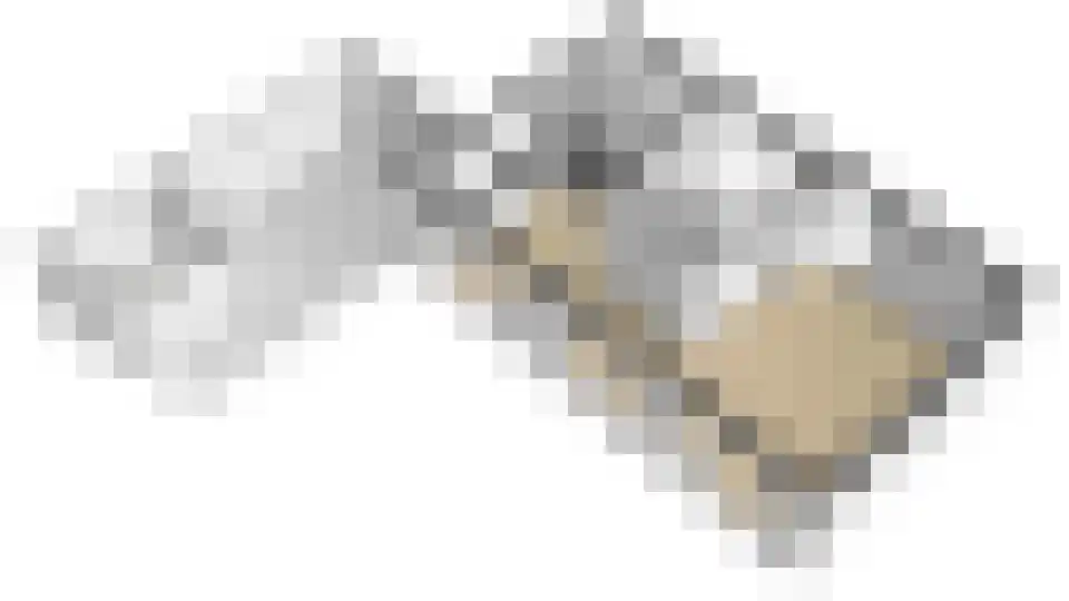 't Melkpad 16 Lathum thumbnail 42