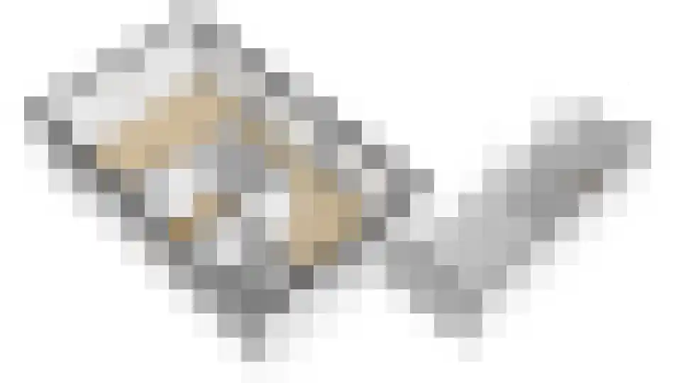 't Melkpad 16 Lathum thumbnail 43
