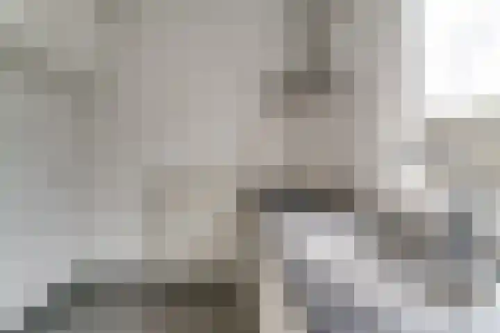 't Melkpad 7 Lathum thumbnail 14
