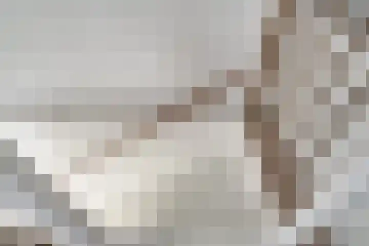 't Melkpad 7 Lathum thumbnail 29