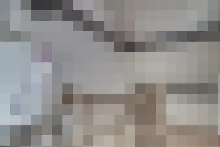 't Melkpad 7 Lathum thumbnail 30