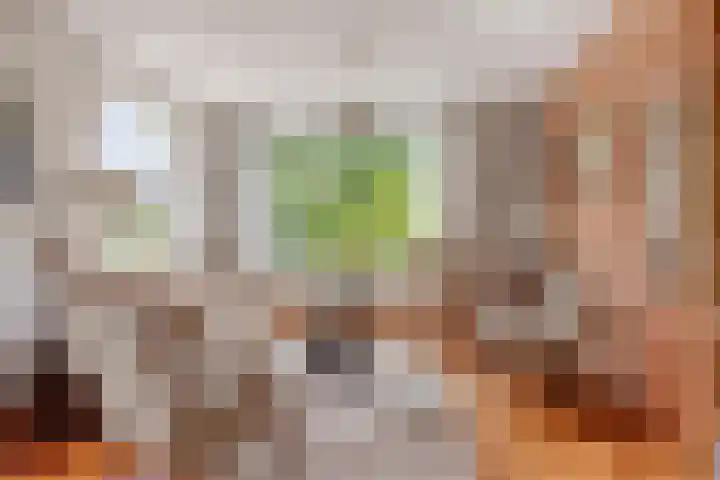 't Mensink 11 Schalkhaar thumbnail 10