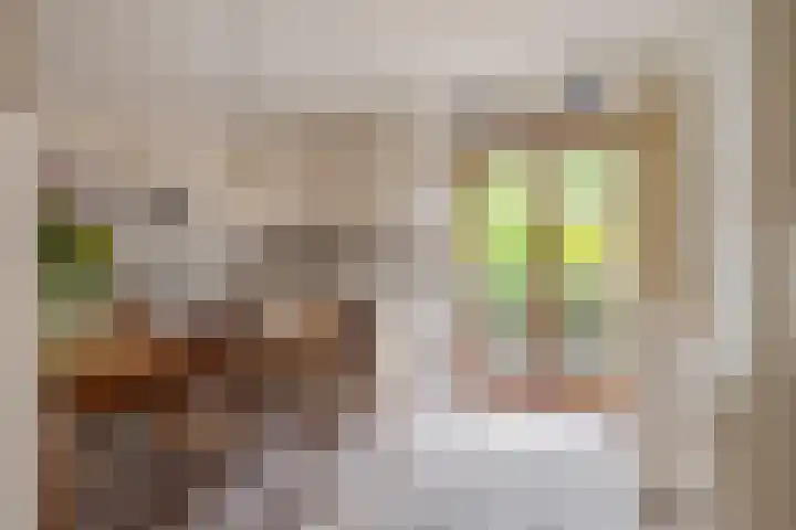 't Mensink 11 Schalkhaar thumbnail 13
