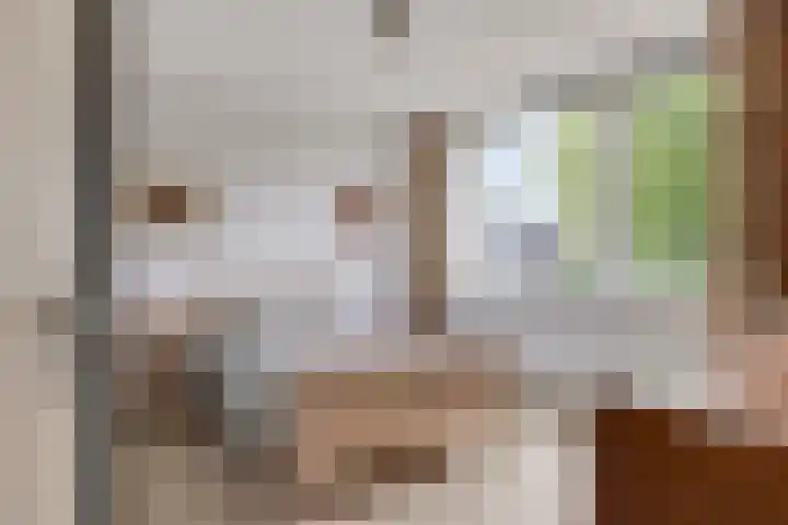 't Mensink 11 Schalkhaar thumbnail 17