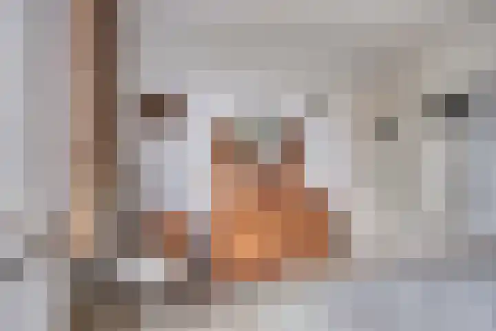 't Mensink 11 Schalkhaar thumbnail 18