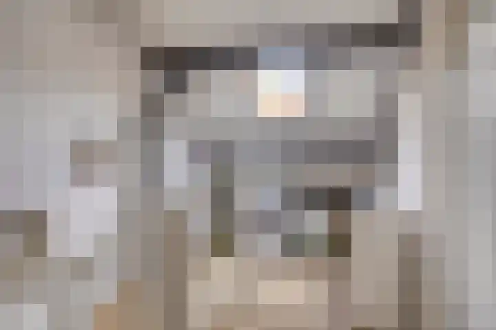 't Mensink 11 Schalkhaar thumbnail 21