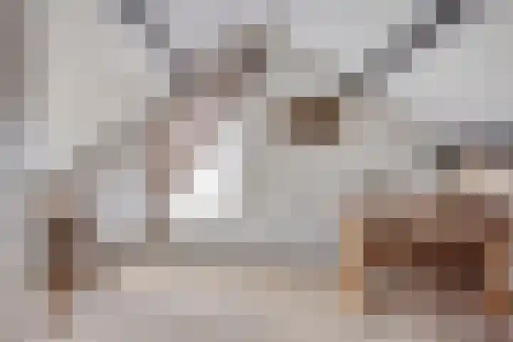 't Mensink 11 Schalkhaar thumbnail 24