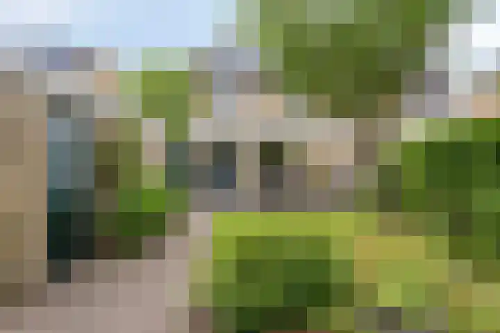 't Mensink 11 Schalkhaar thumbnail 29