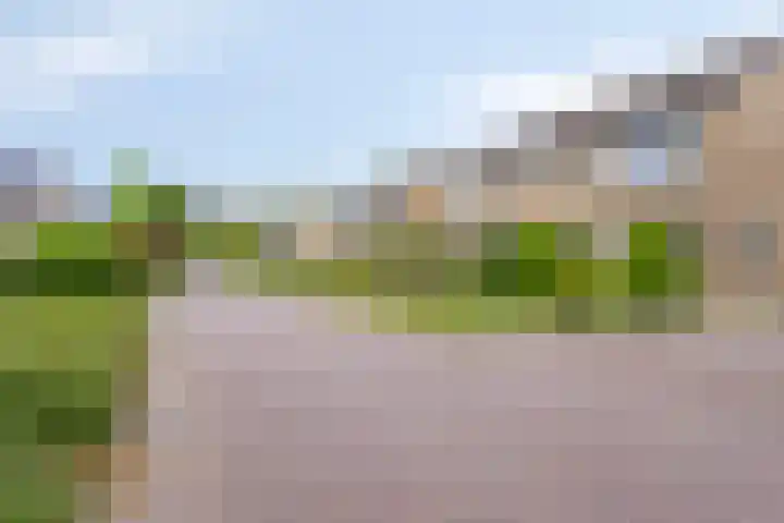 't Mensink 11 Schalkhaar thumbnail 30