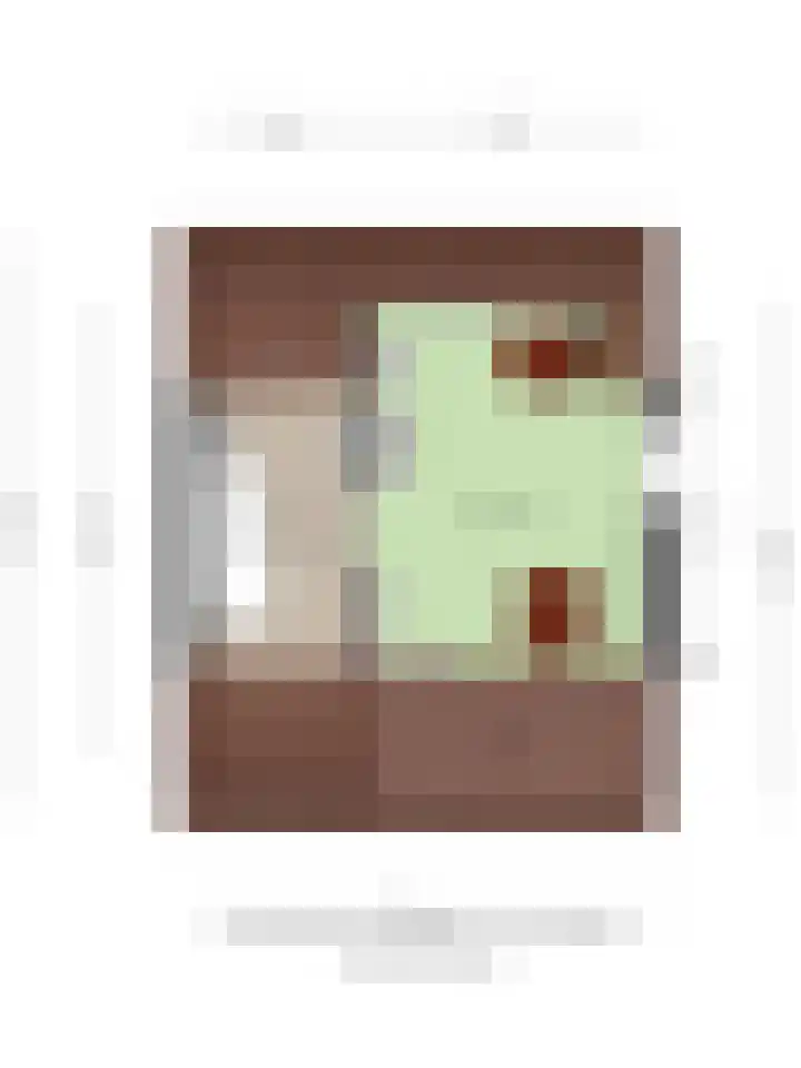 't Mensink 11 Schalkhaar thumbnail 33