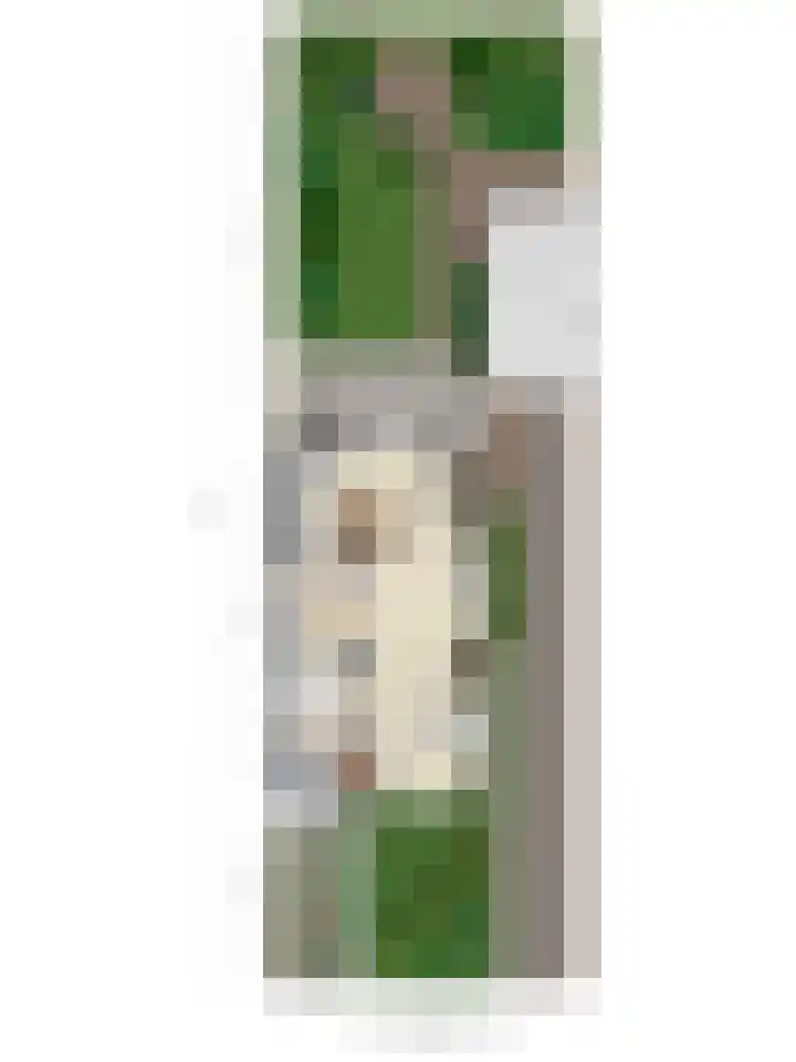 't Mensink 11 Schalkhaar thumbnail 35