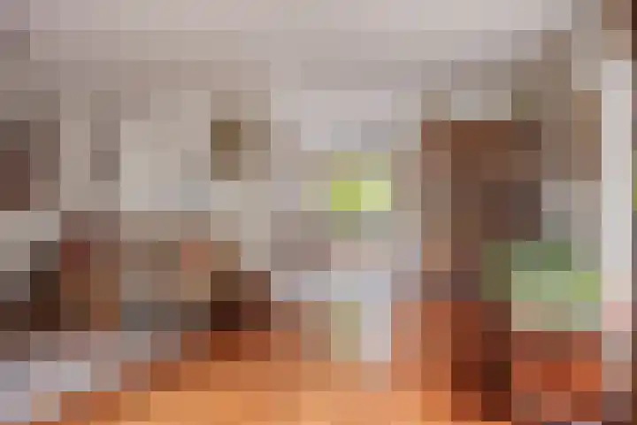 't Mensink 11 Schalkhaar thumbnail 4