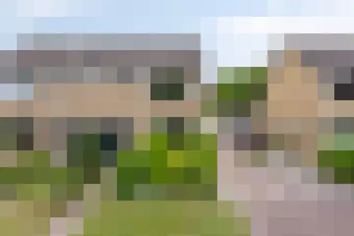 't Mensink 11 Schalkhaar thumbnail 5