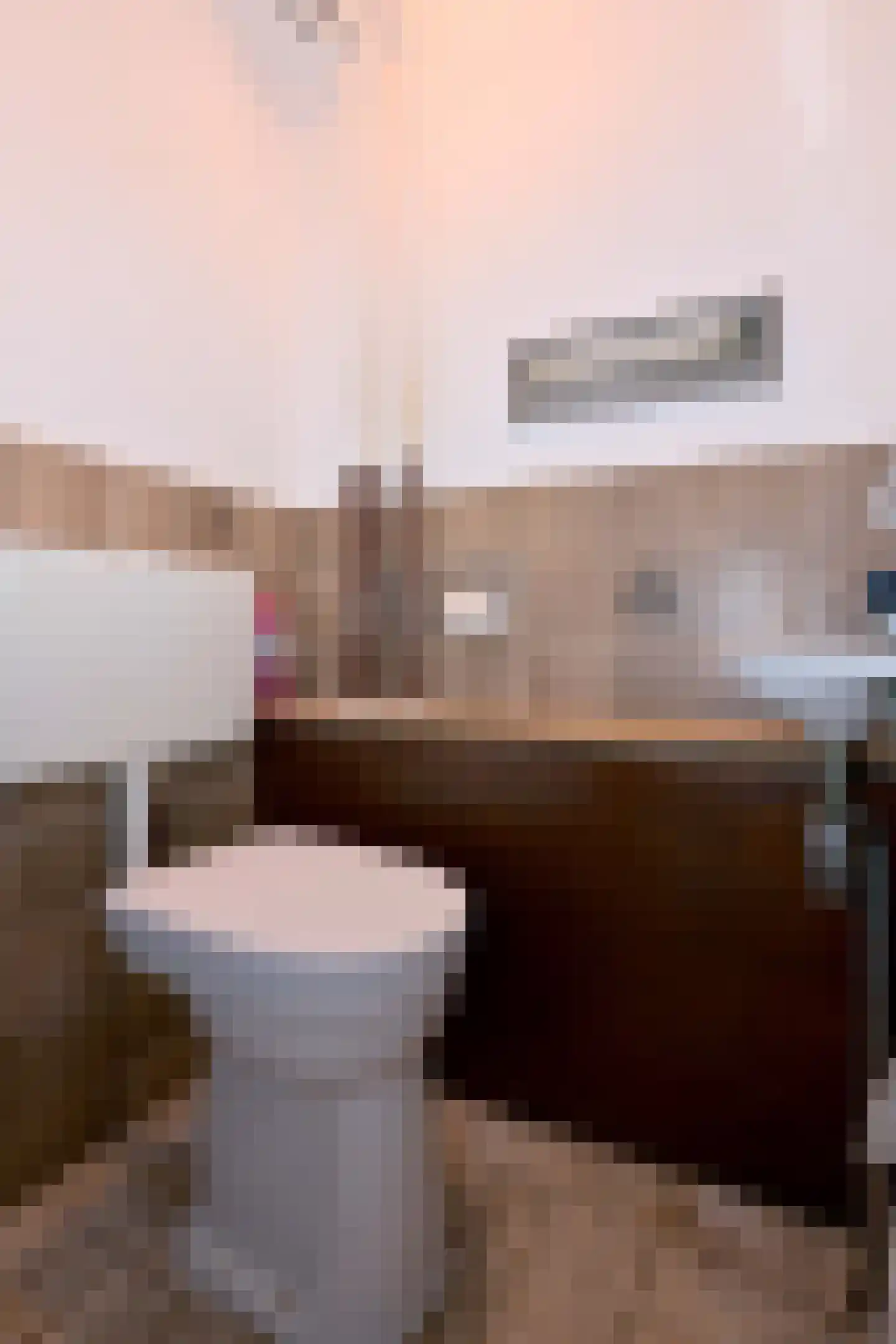 't Mensink 26 Schalkhaar thumbnail 12