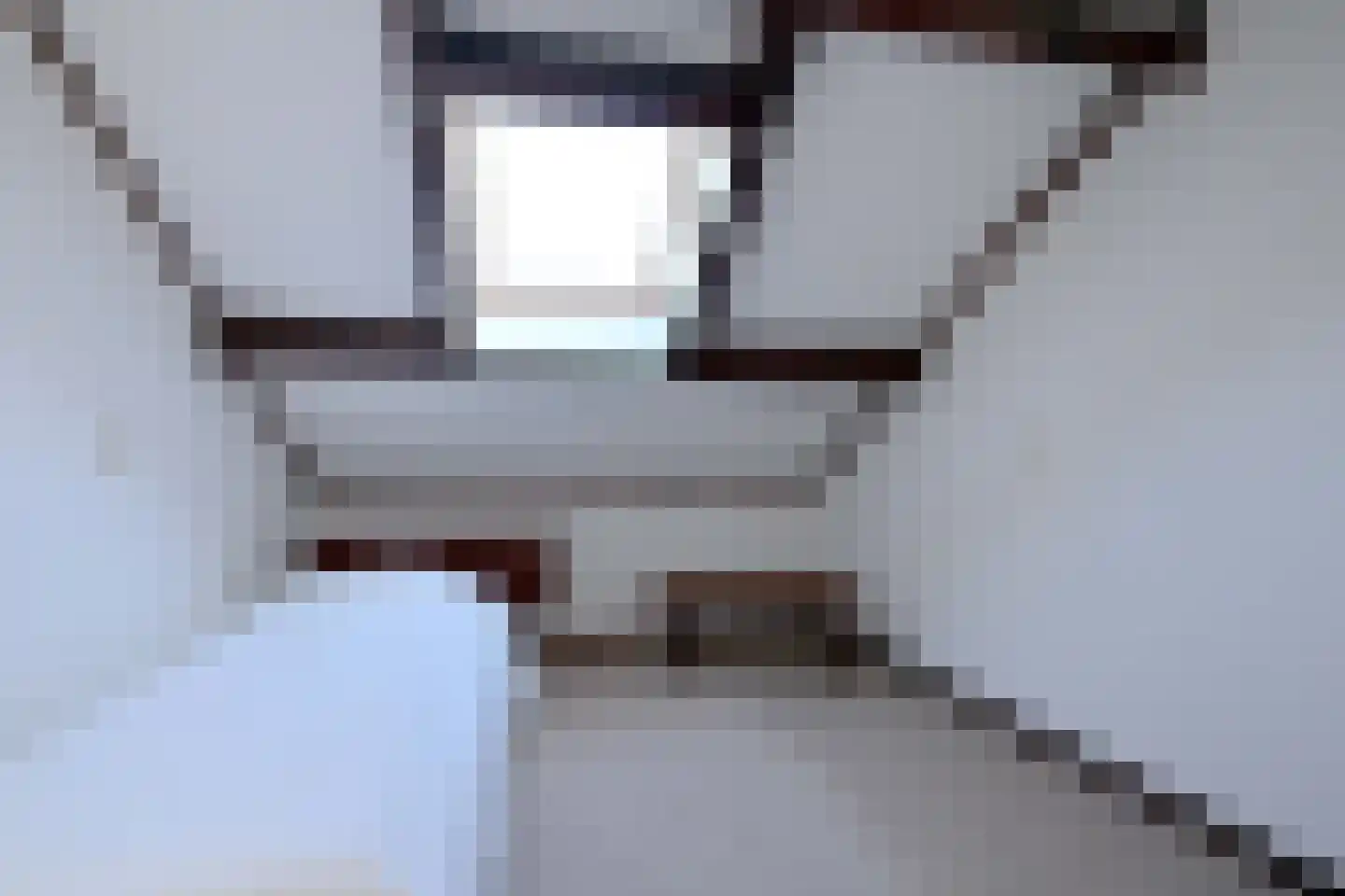 't Mensink 26 Schalkhaar thumbnail 23