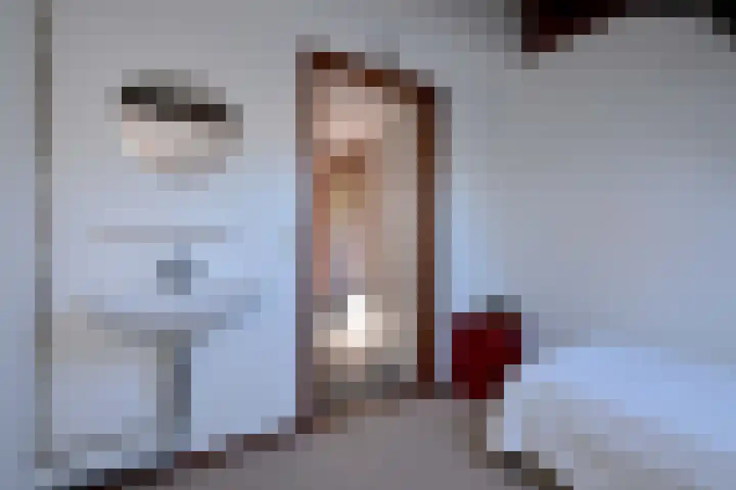 't Mensink 26 Schalkhaar thumbnail 24