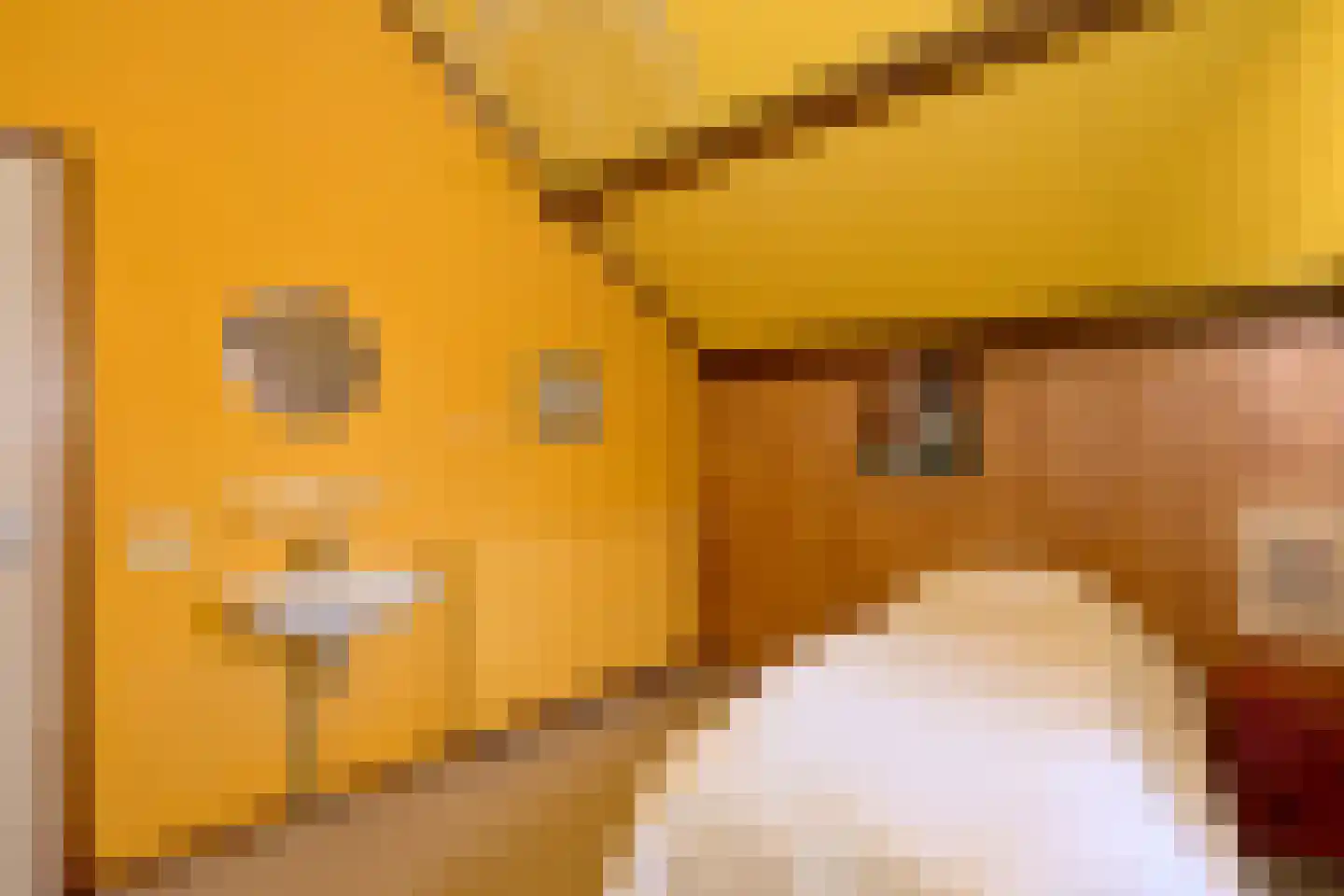 't Mensink 26 Schalkhaar thumbnail 26