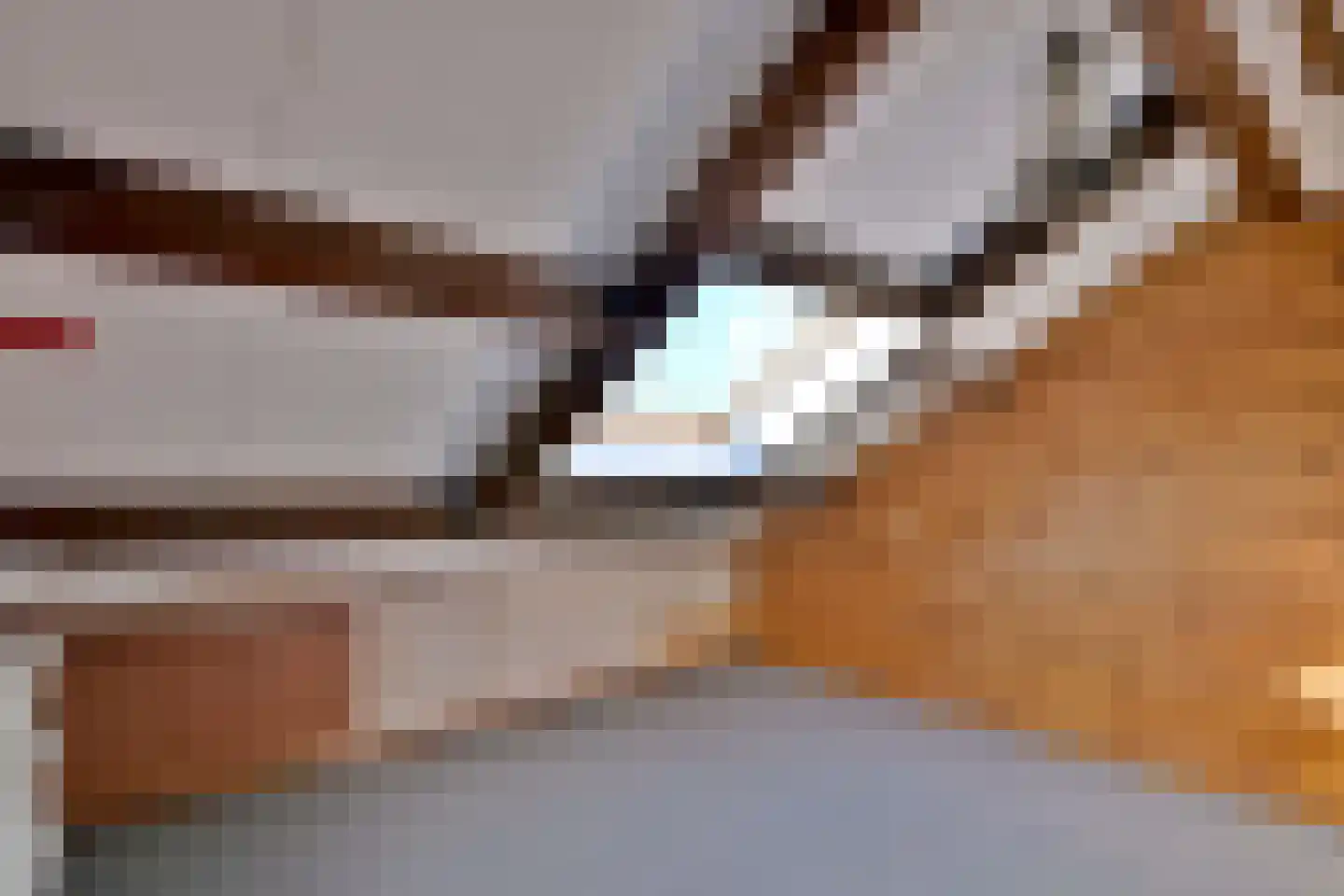 't Mensink 26 Schalkhaar thumbnail 29