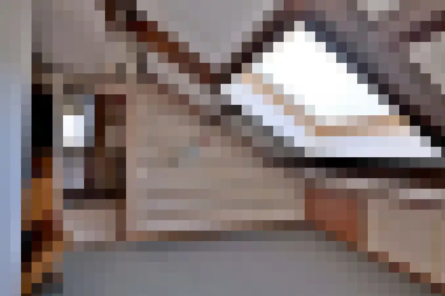 't Mensink 26 Schalkhaar thumbnail 30