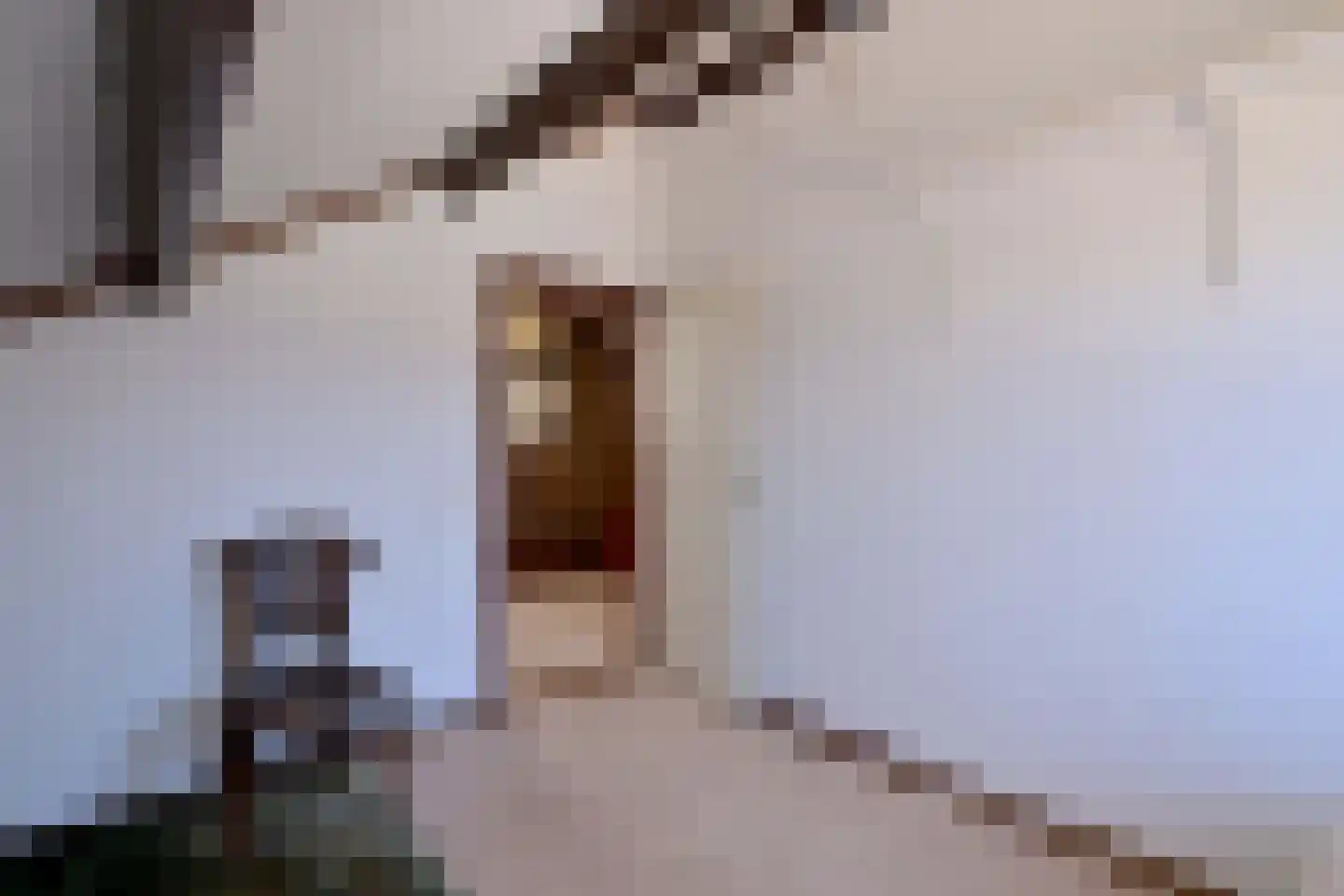 't Mensink 26 Schalkhaar thumbnail 32