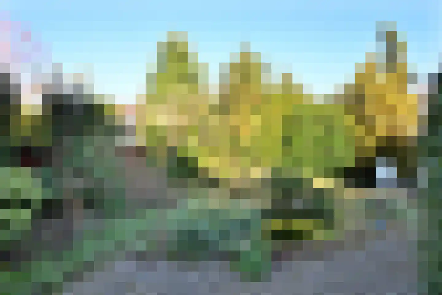 't Mensink 26 Schalkhaar thumbnail 36