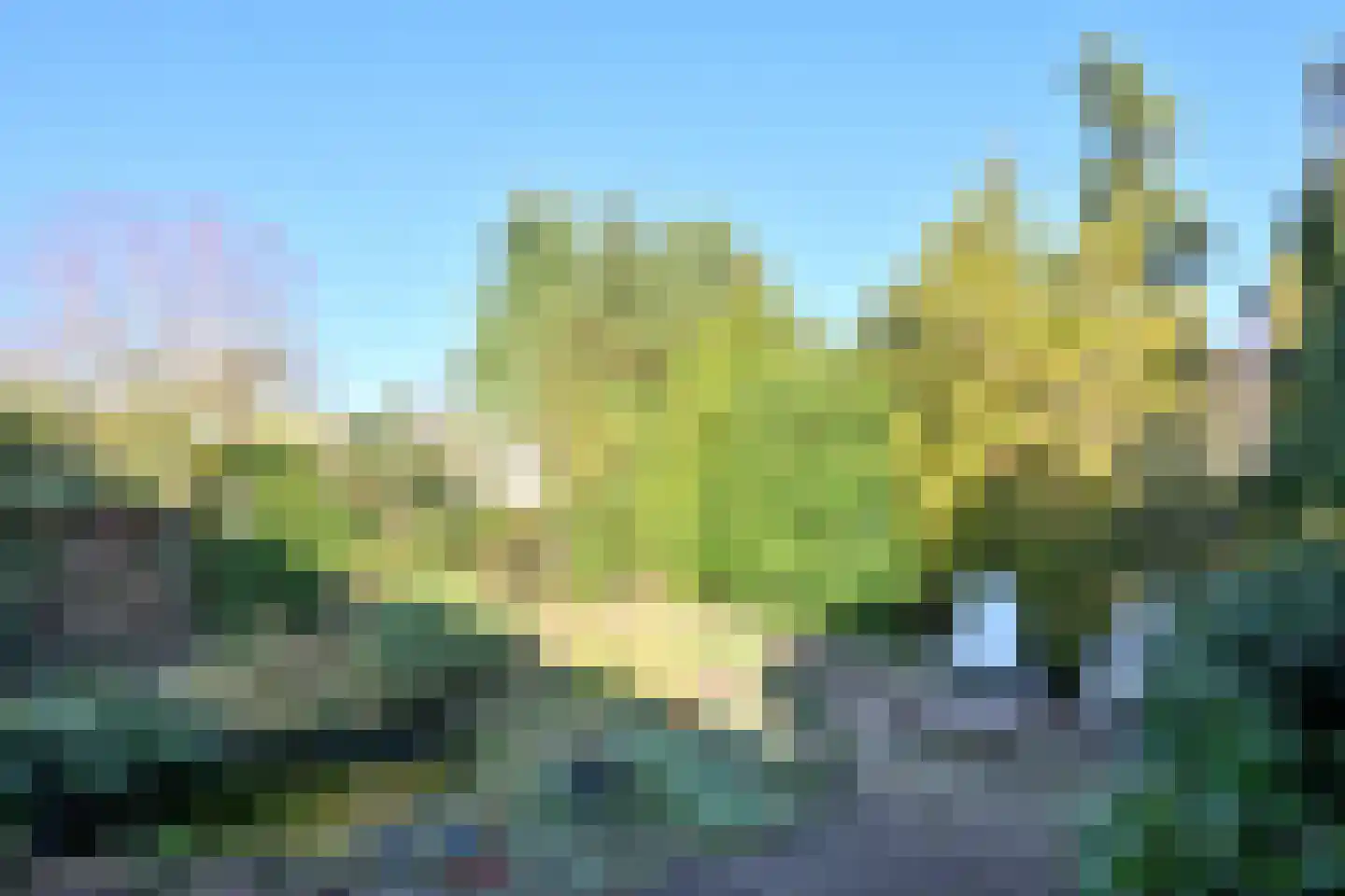 't Mensink 26 Schalkhaar thumbnail 37