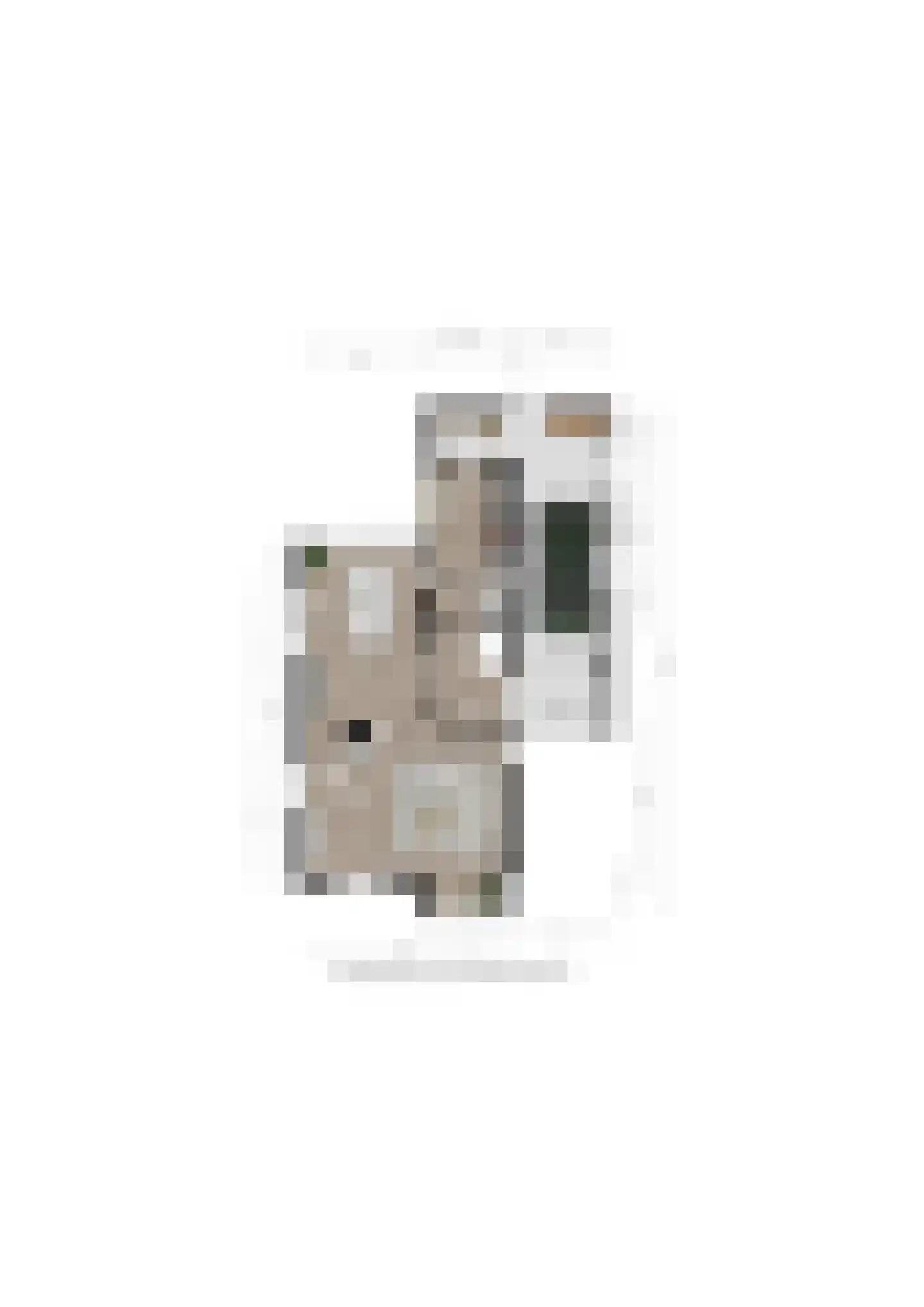 't Mensink 26 Schalkhaar thumbnail 51