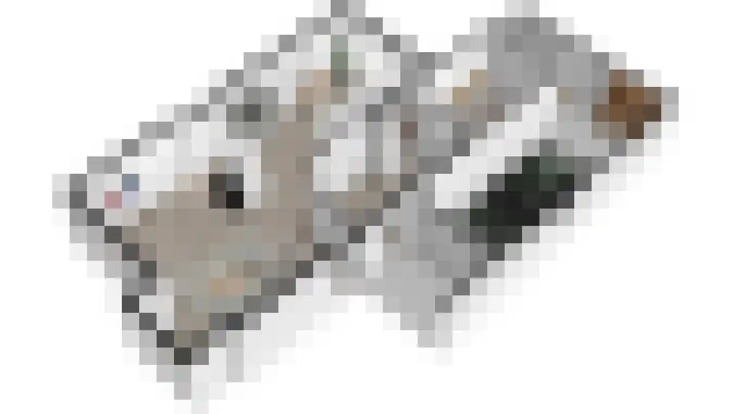 't Mensink 26 Schalkhaar thumbnail 56