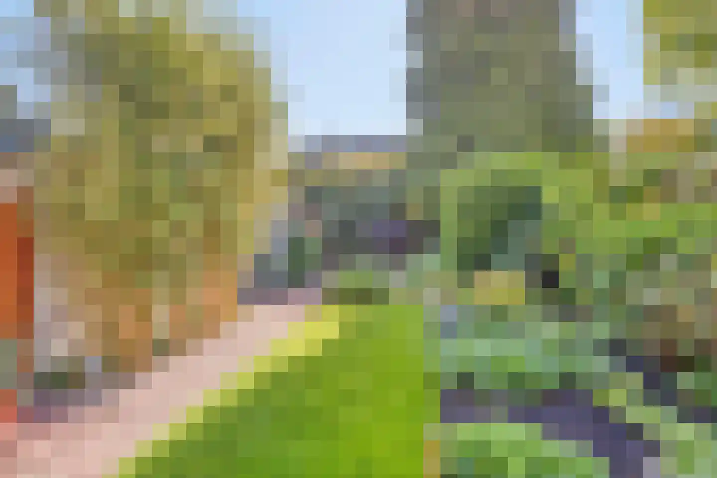 't Mensink 5 Schalkhaar thumbnail 30