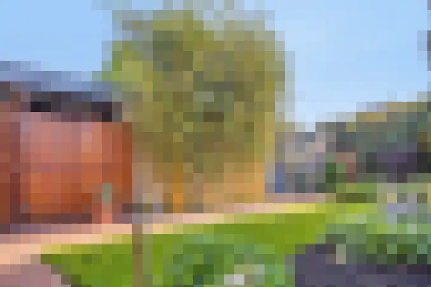 't Mensink 5 Schalkhaar thumbnail 31