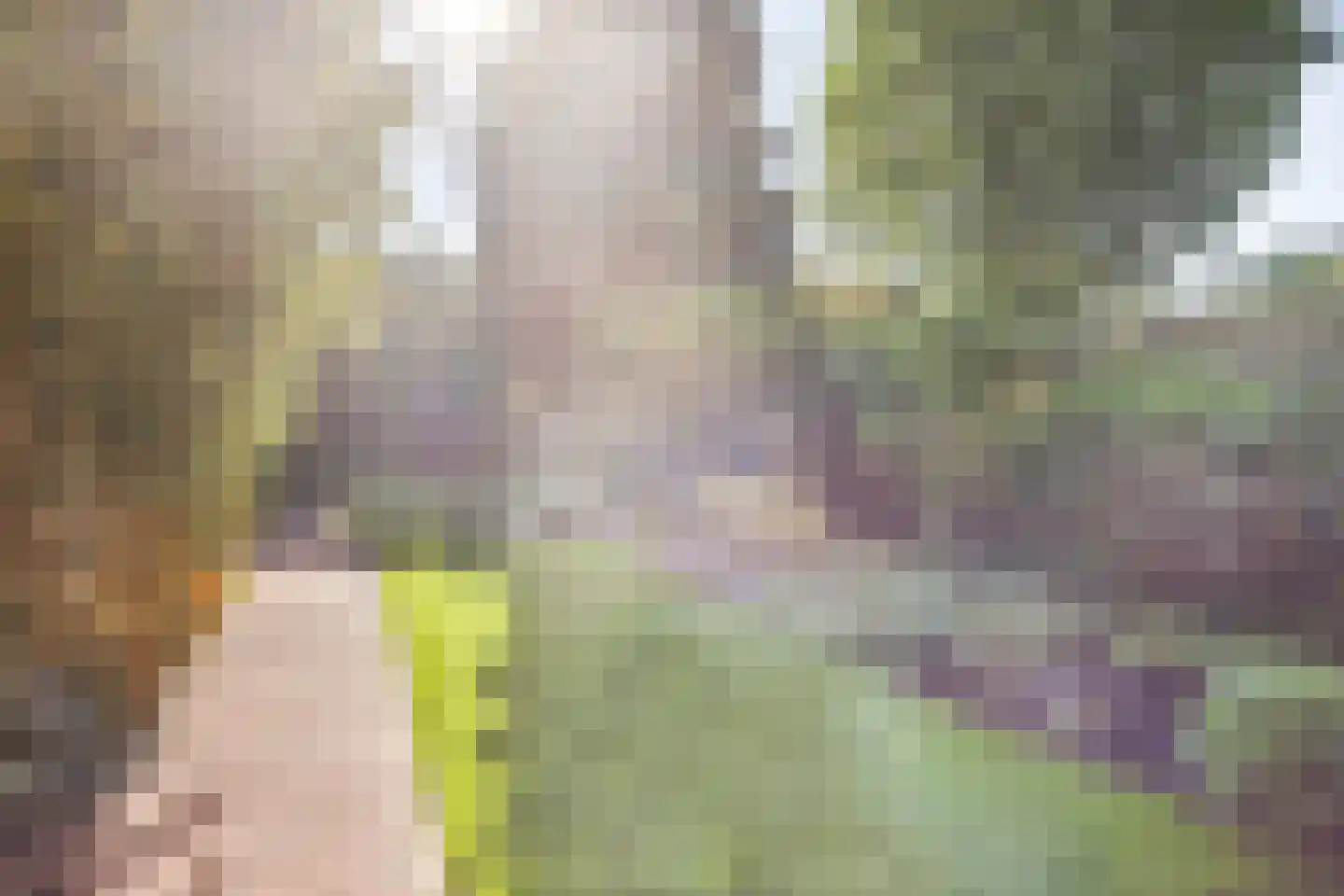 't Mensink 5 Schalkhaar thumbnail 32