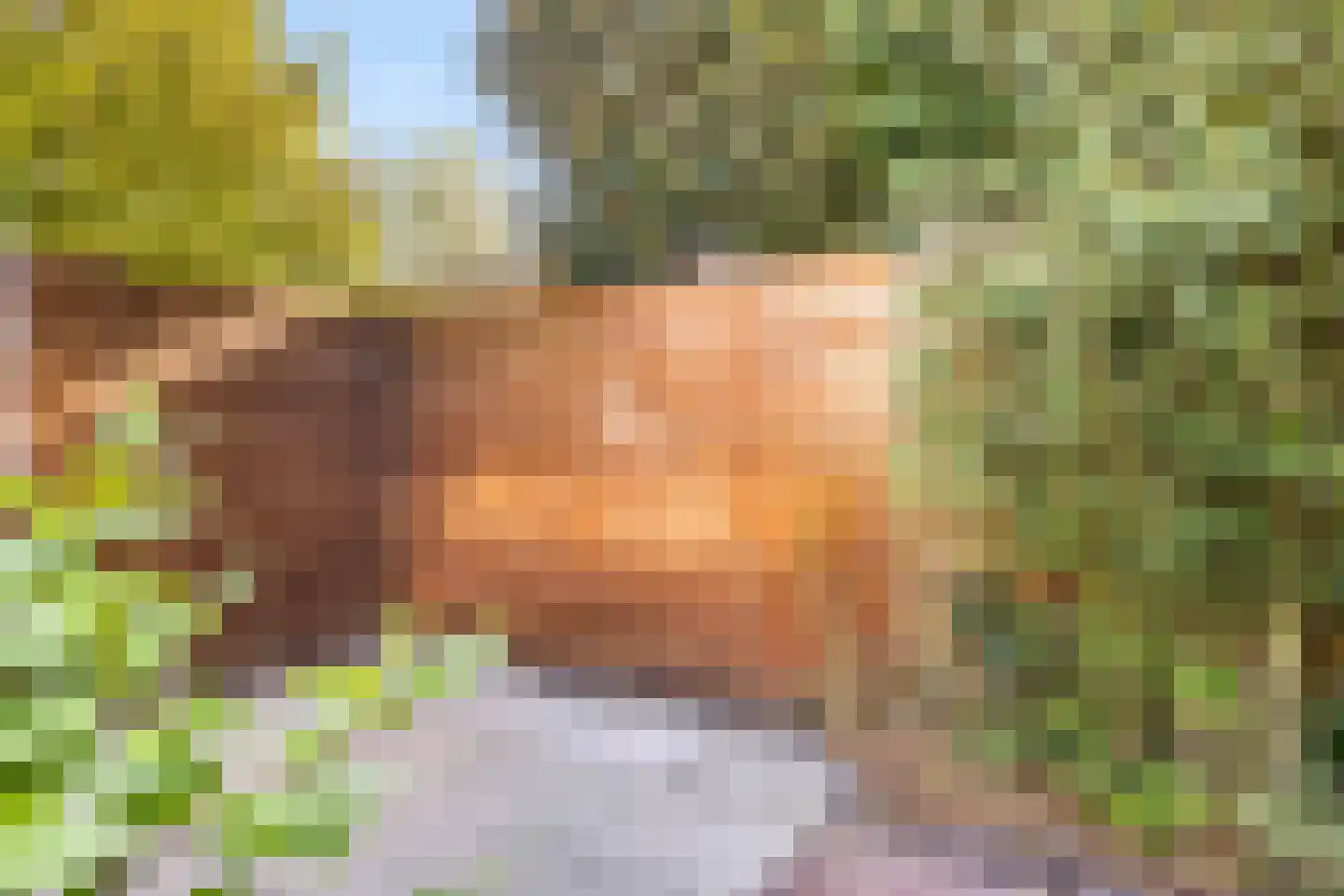 't Mensink 5 Schalkhaar thumbnail 33