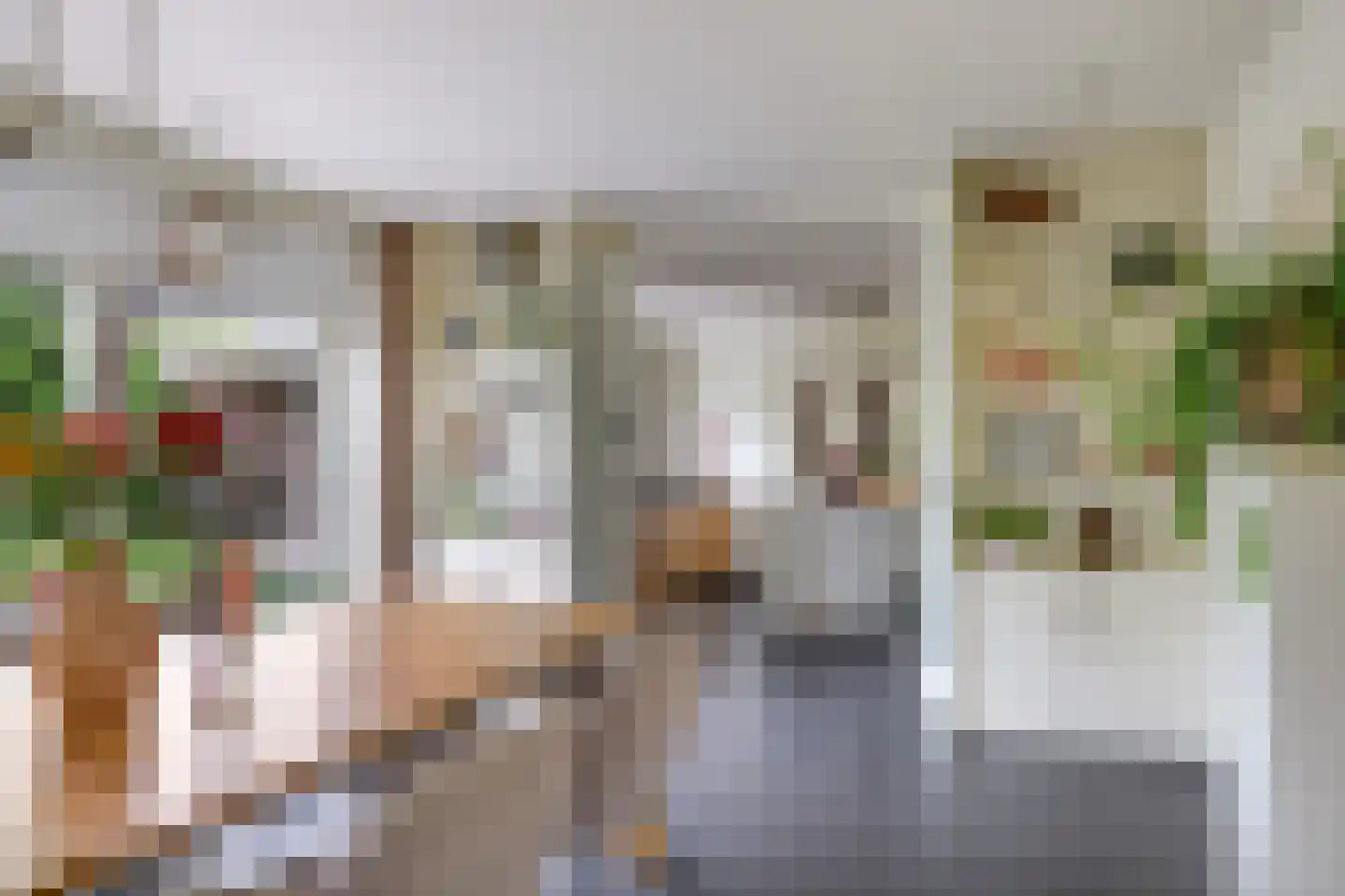 't Meulland 10 Valburg thumbnail 23