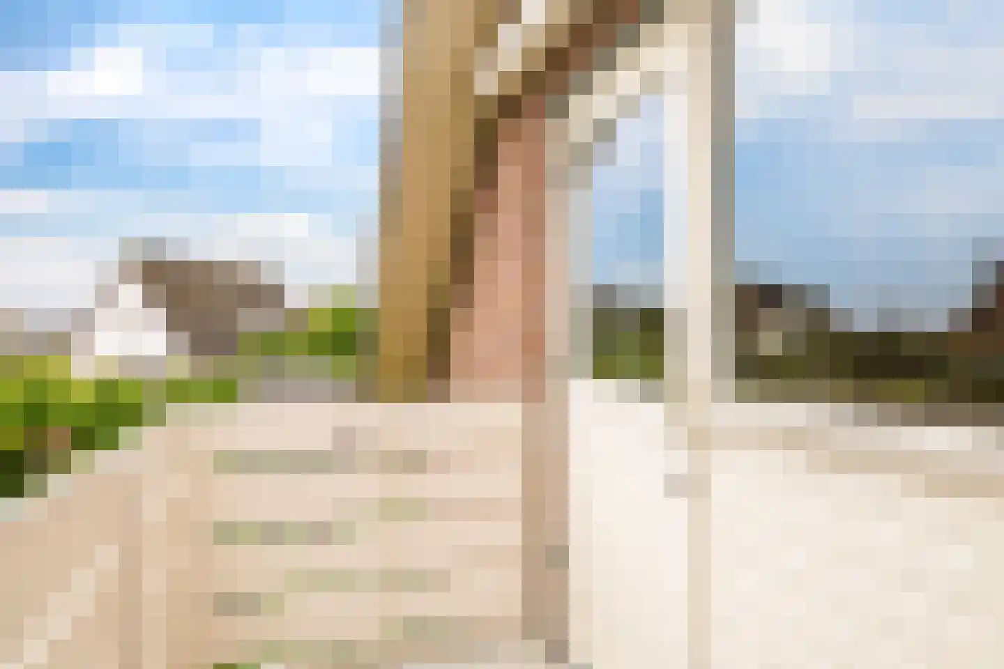 't Meulland 10 Valburg thumbnail 40