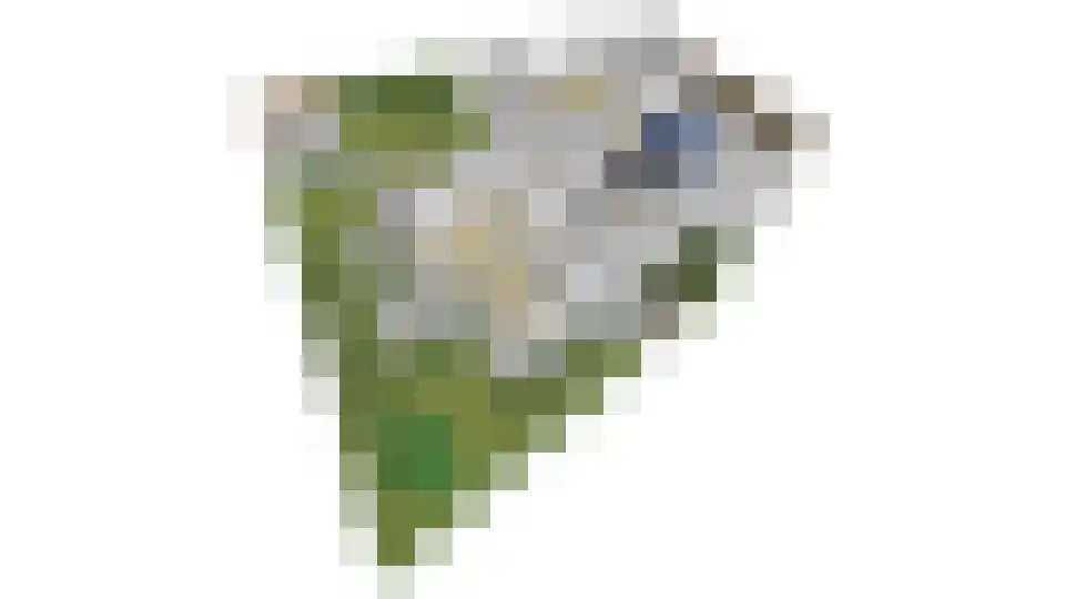 't Meulland 10 Valburg thumbnail 63