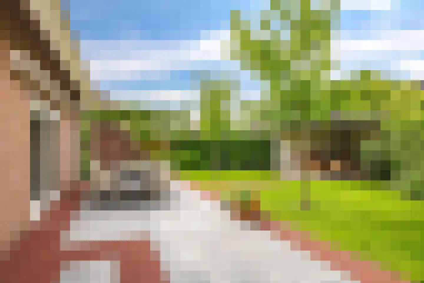 't Meulland 10 Valburg thumbnail 64