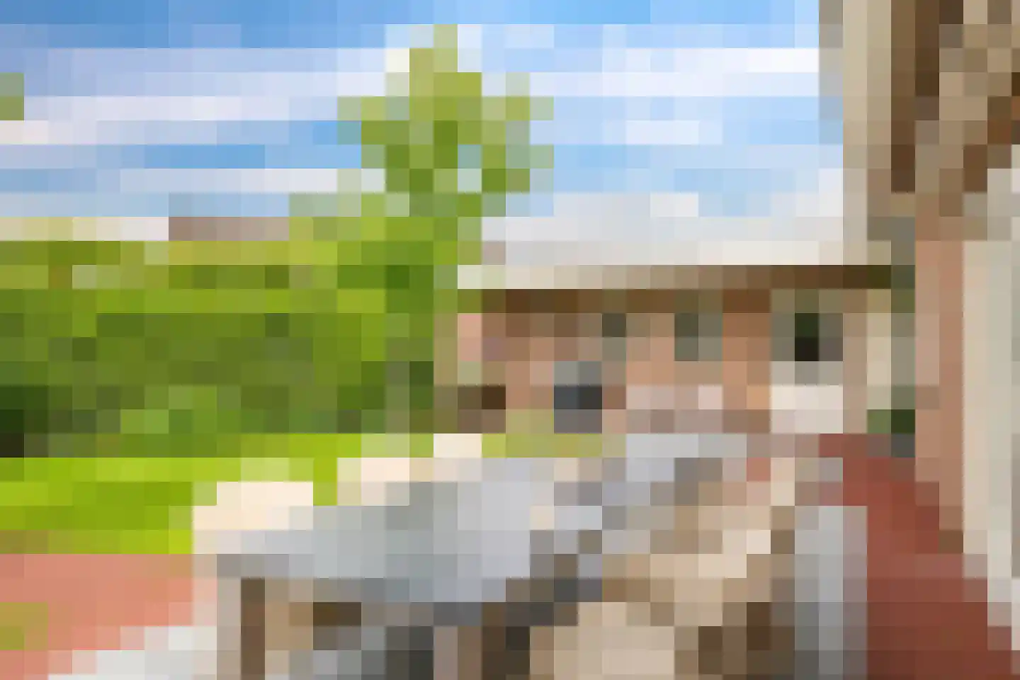 't Meulland 10 Valburg thumbnail 65