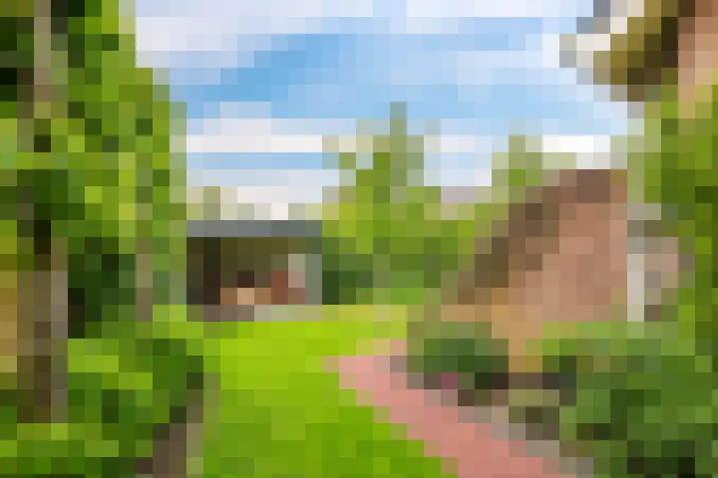't Meulland 10 Valburg thumbnail 74