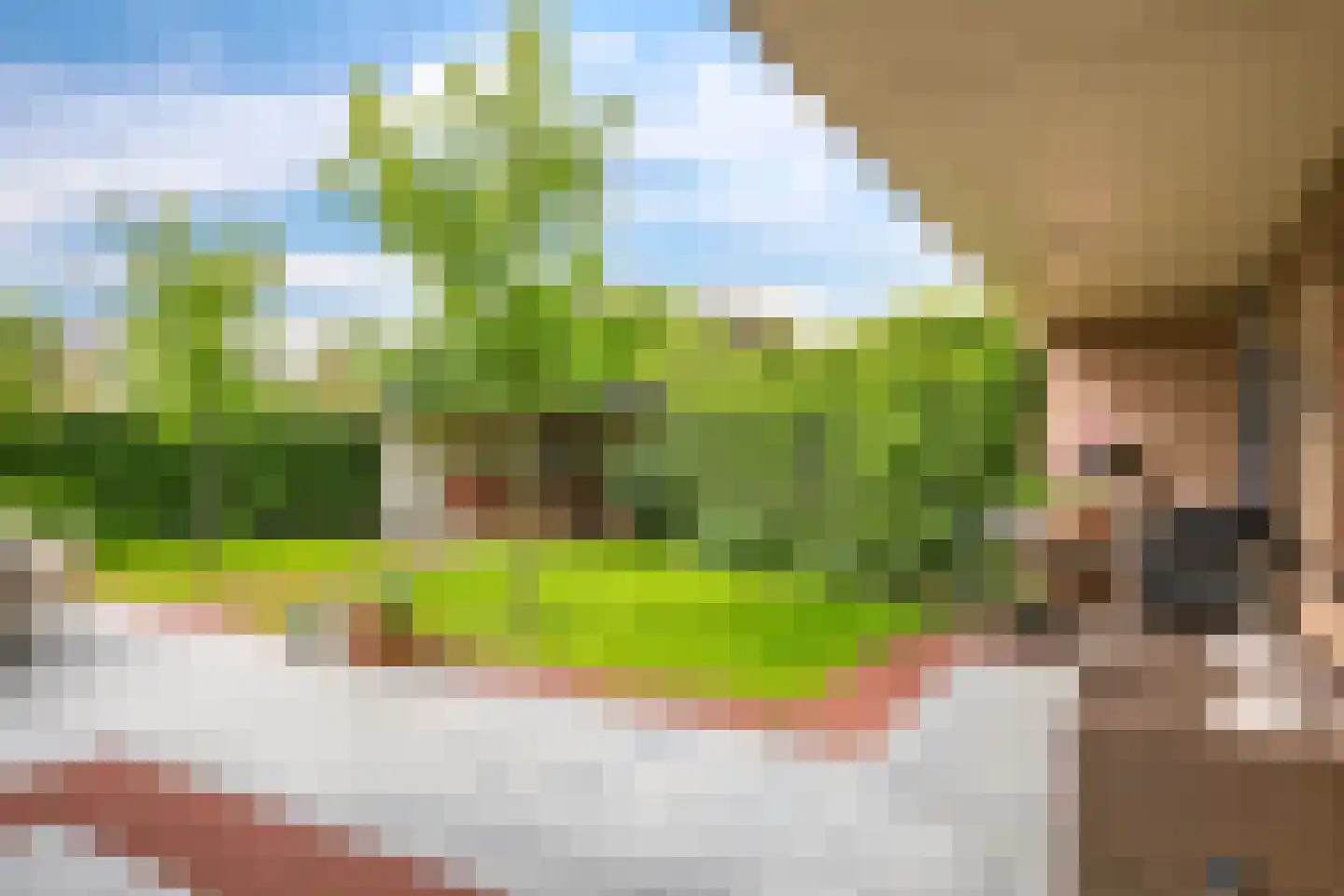 't Meulland 10 Valburg thumbnail 82