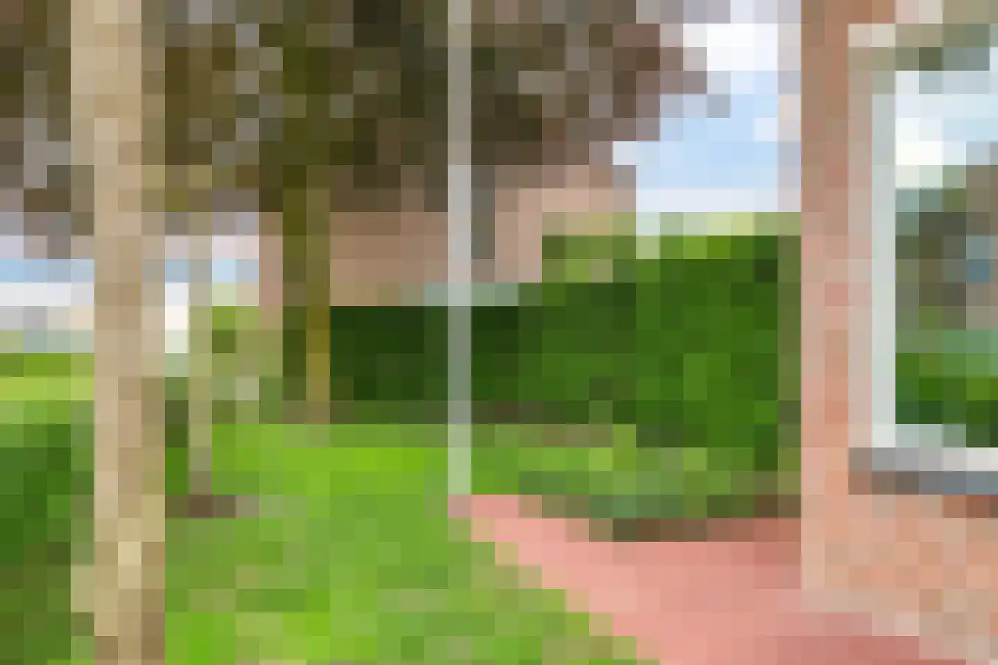 't Meulland 10 Valburg thumbnail 89
