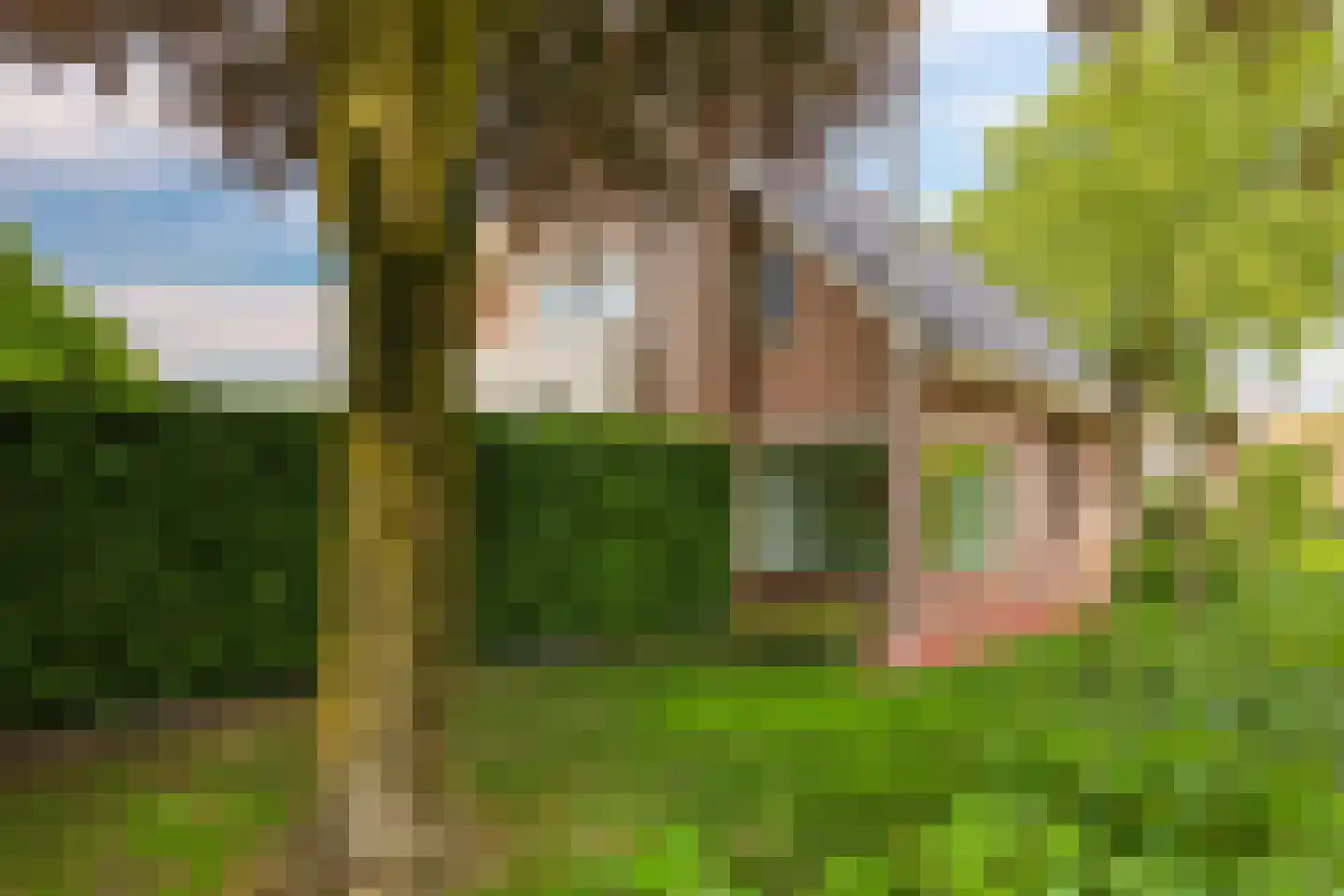 't Meulland 10 Valburg thumbnail 91
