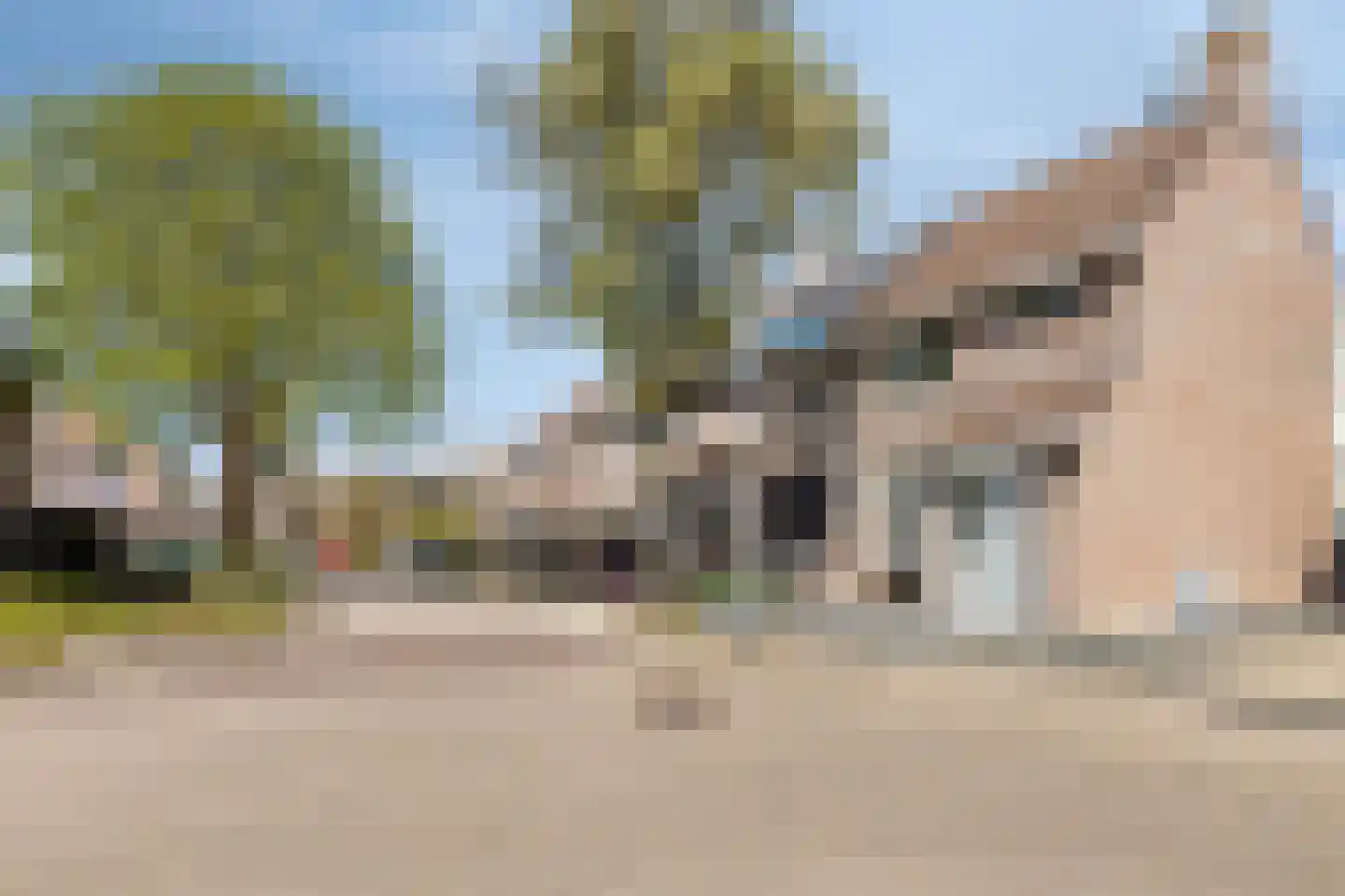 't Modderweidje 10 Waarland thumbnail 5