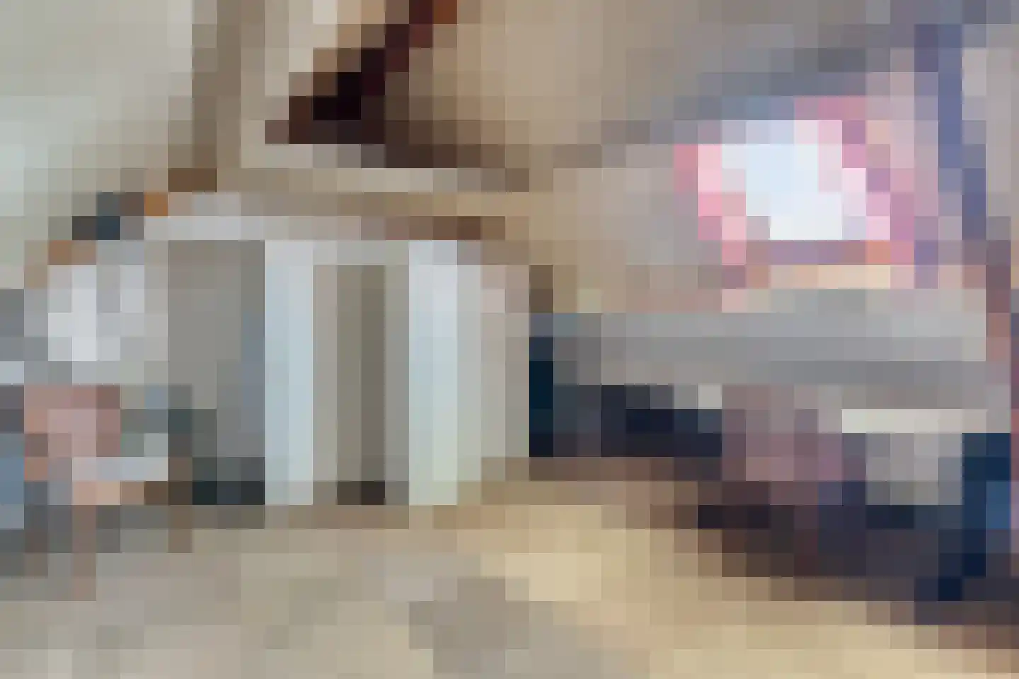 't Modderweidje 29 Waarland thumbnail 34